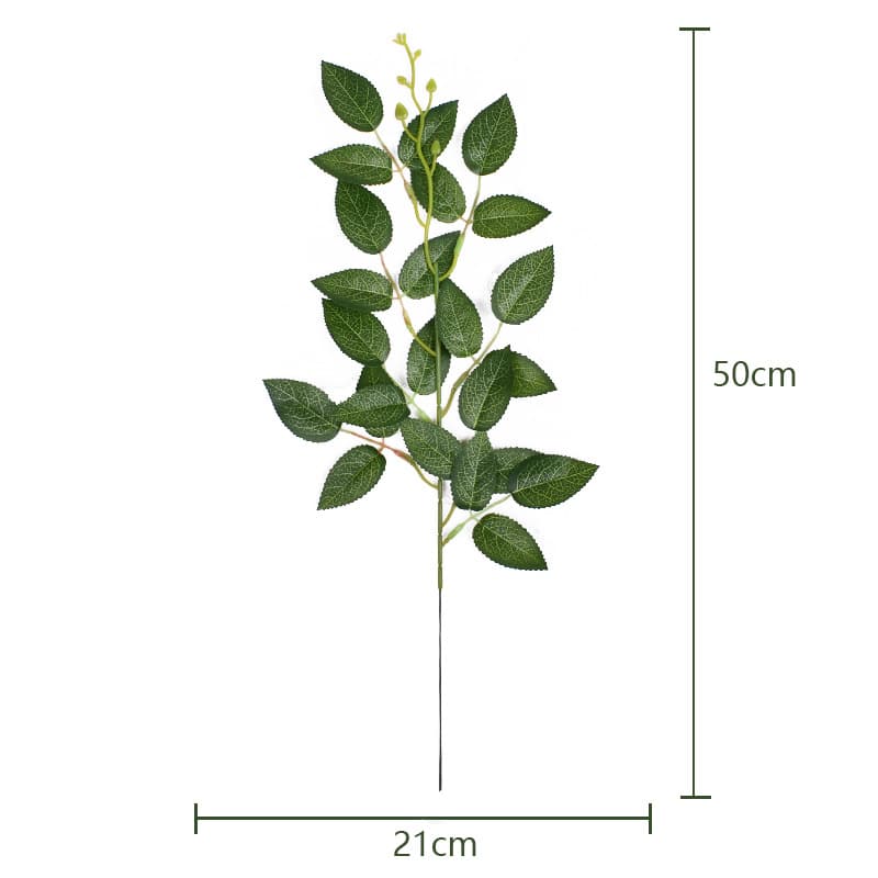 A rose leaf