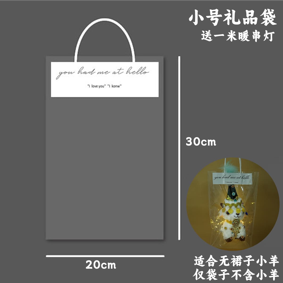 Small gift bag (with string lights)