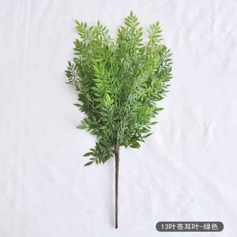 13 leaves of xanthium leaves