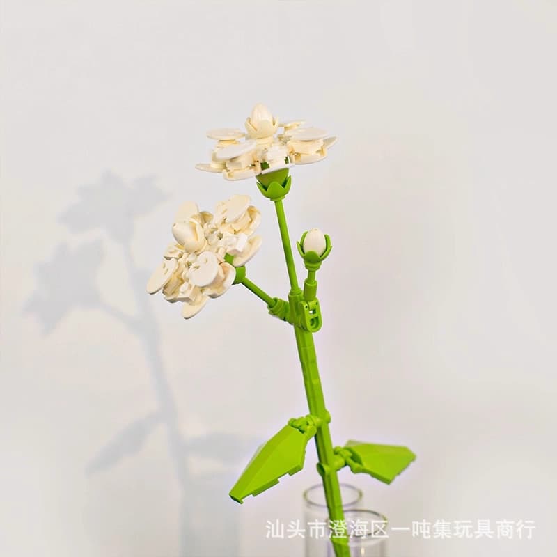Jasmine