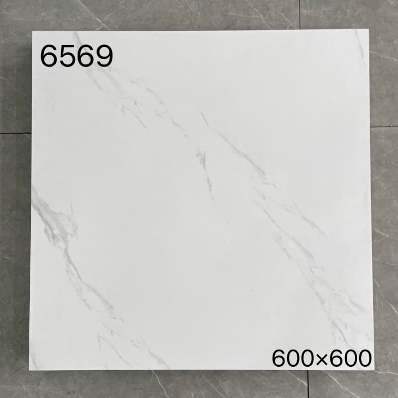 6569