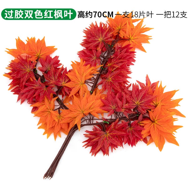 A double-colored red maple leaf
