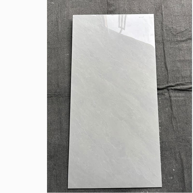 Style 12 all-ceramic appendix g
