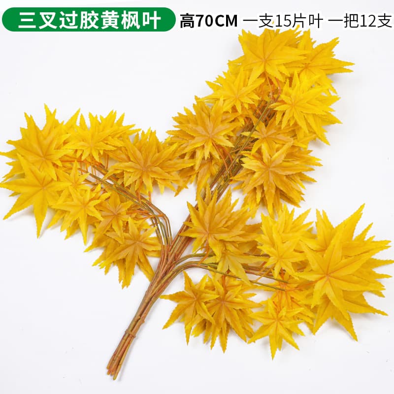 Trigeminal yellow Maple Leaf single