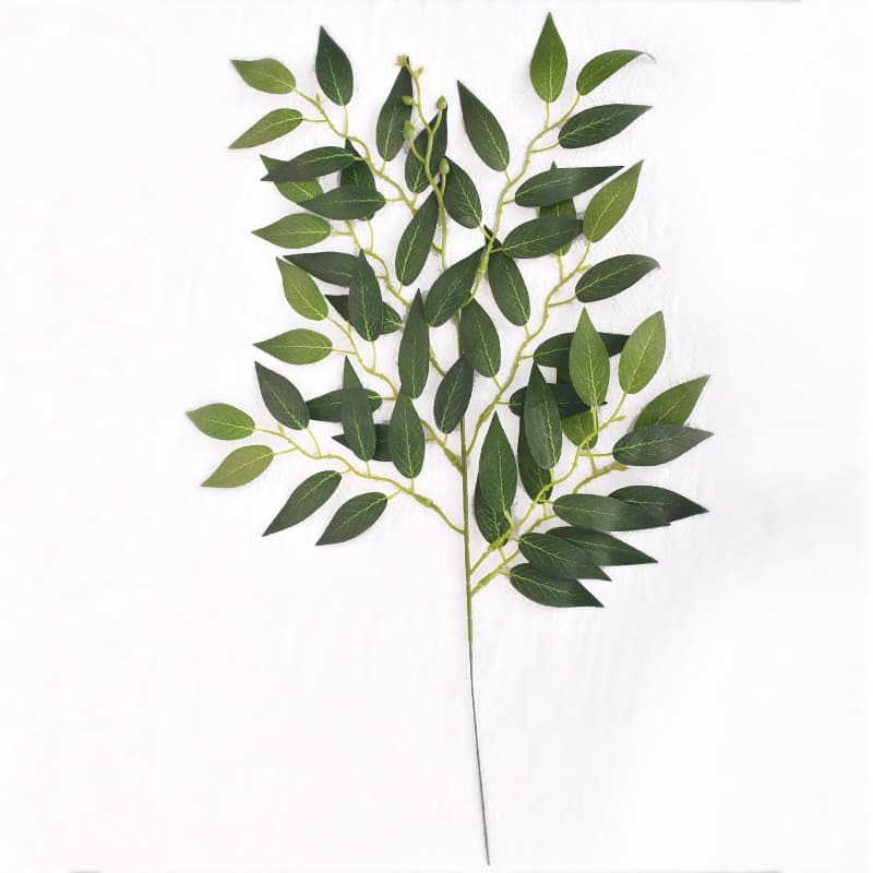 A branch of elaeagnus angustifolia leaves