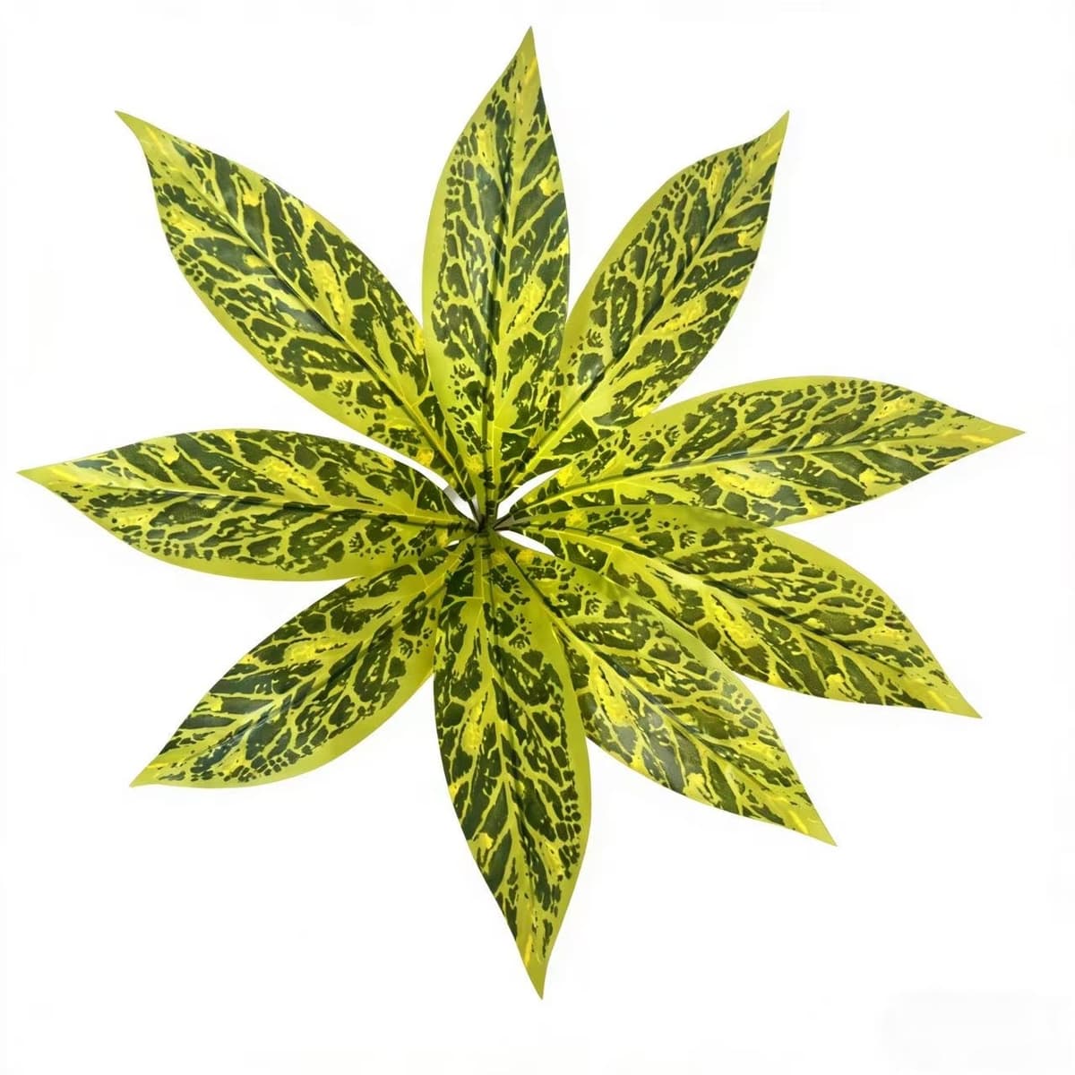 9 auspicious leaves