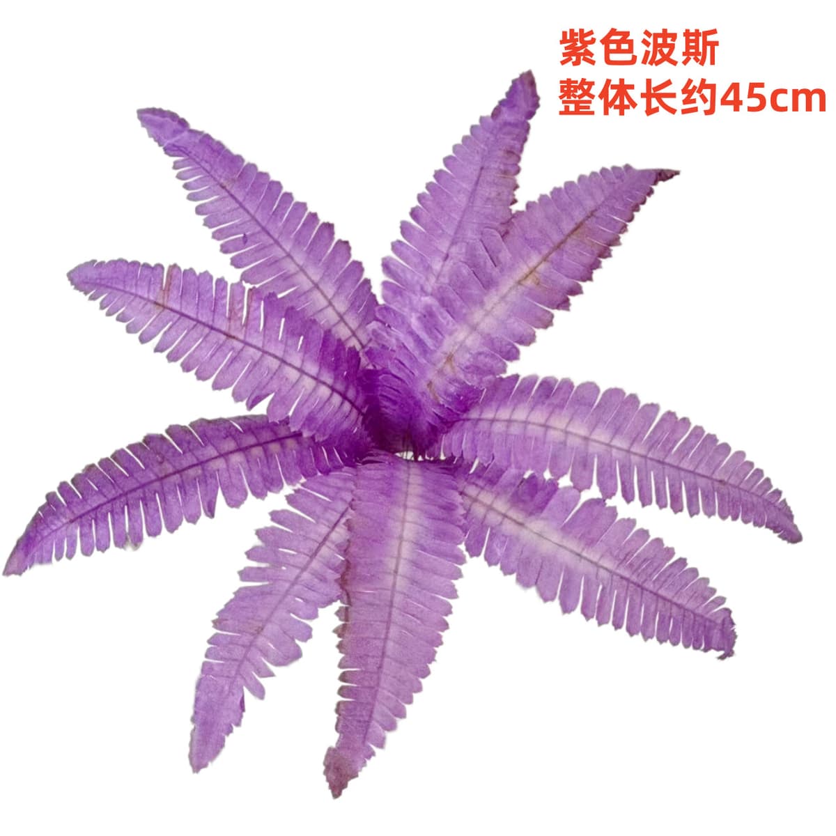 9-leaf persian violet (large leaf)