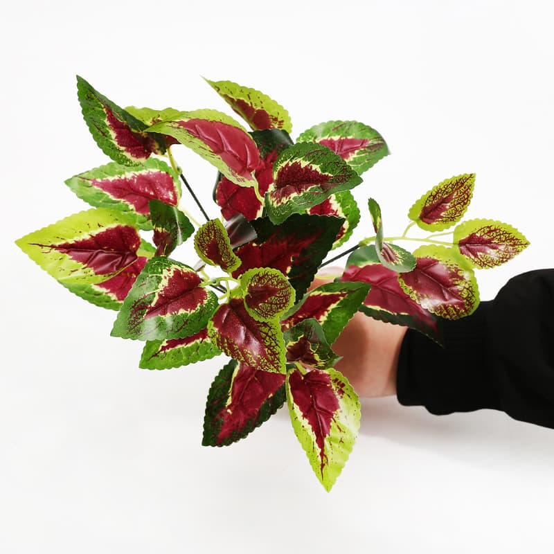 Seven-pronged rose leaves