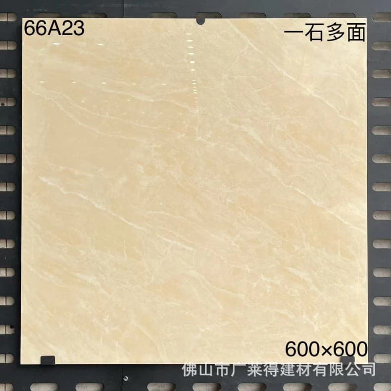 66A23