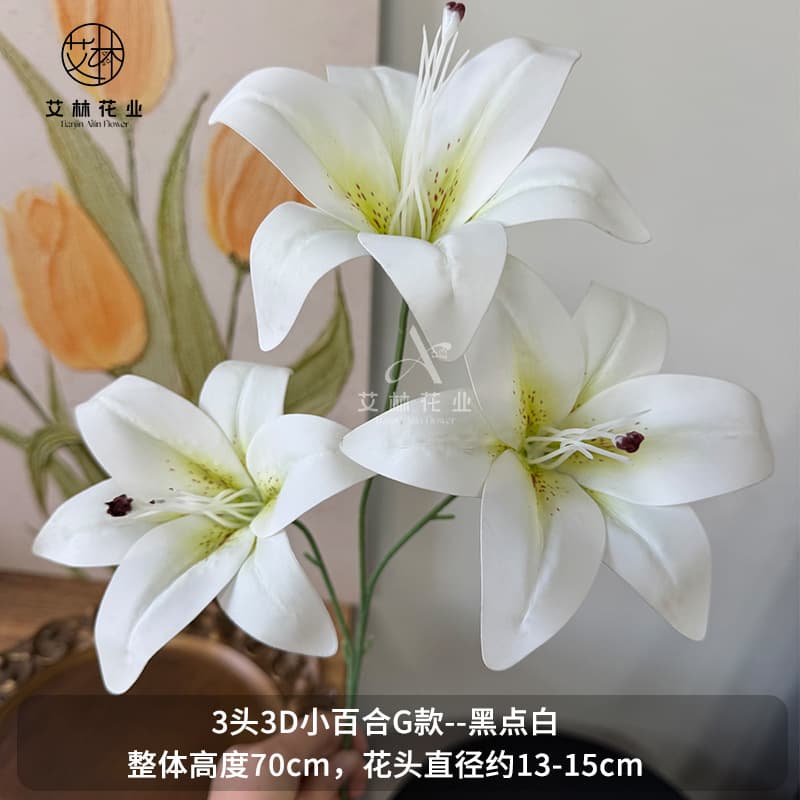 Black dot white (pure white in the center of the flower)