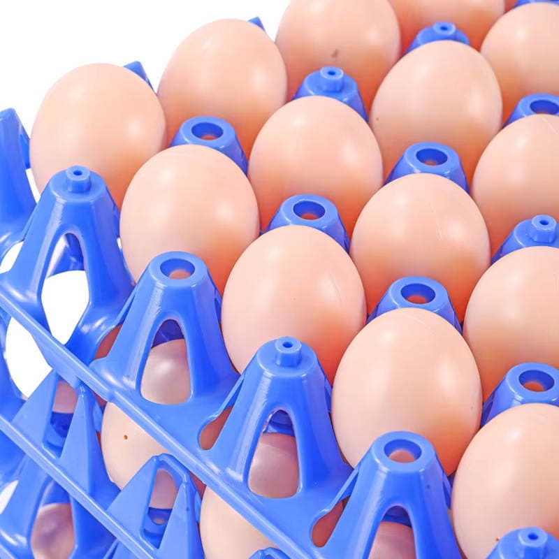 Egg Turnover Transport: 30 Egg Dividers, Disposable Egg Trays Capable of Transporting 12,960 Eggs, Improving Egg Handling 2