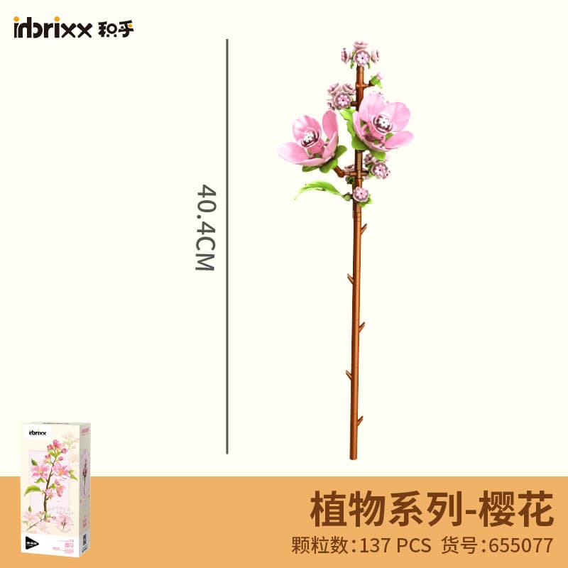 655077 sakura