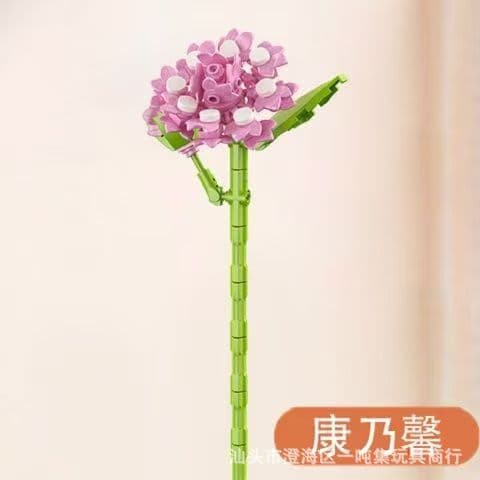 Carnation