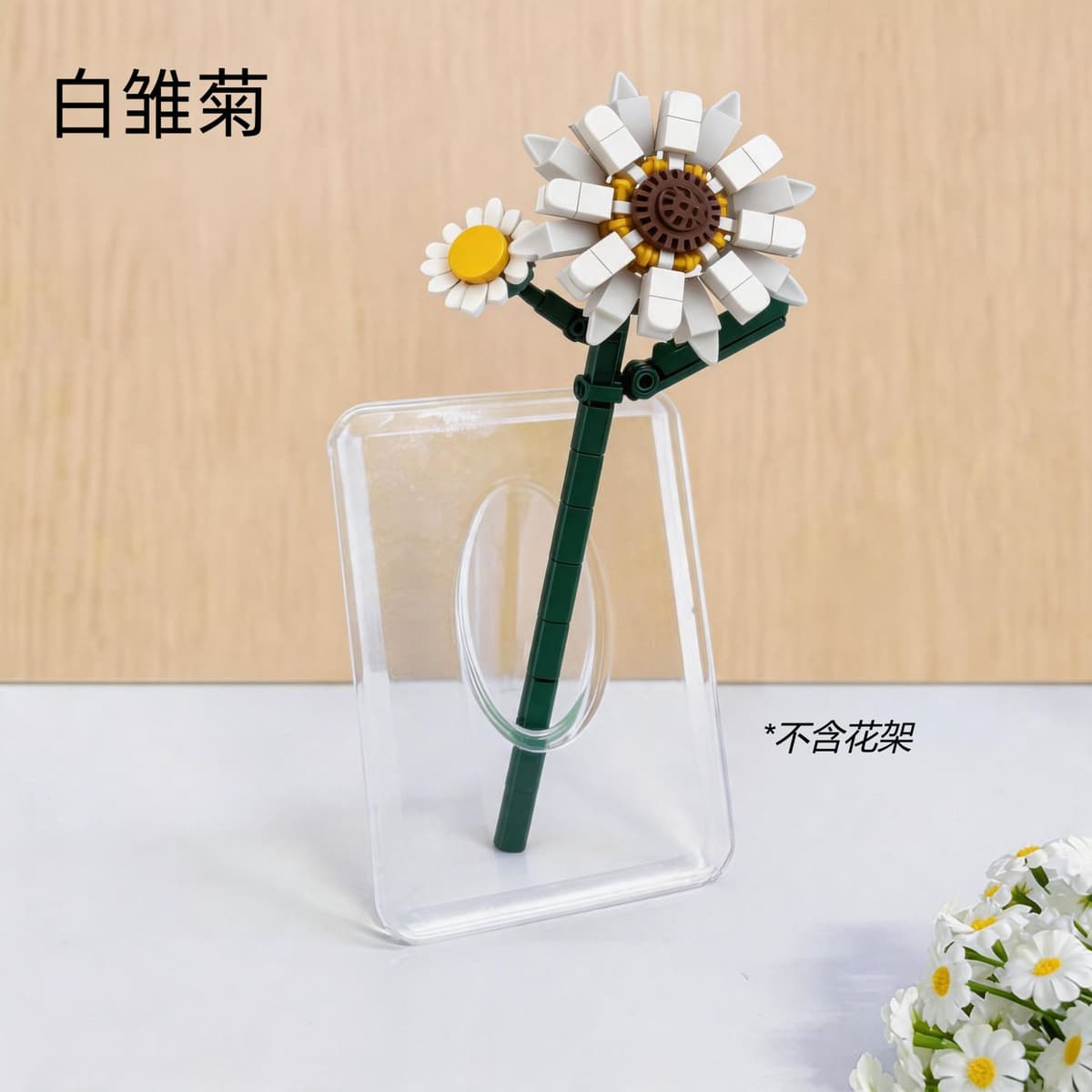 Qq014 daisy