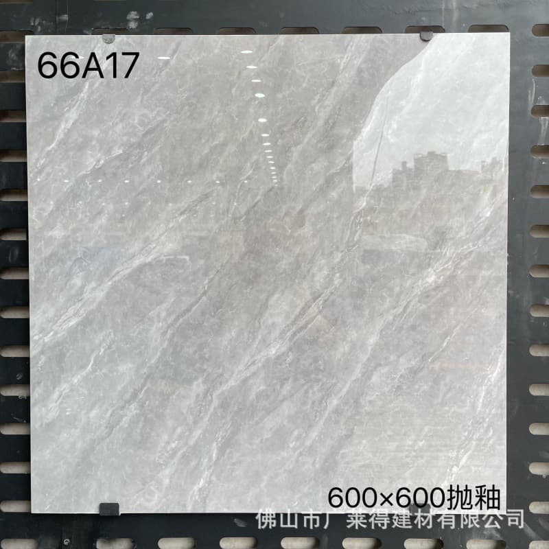 66A17
