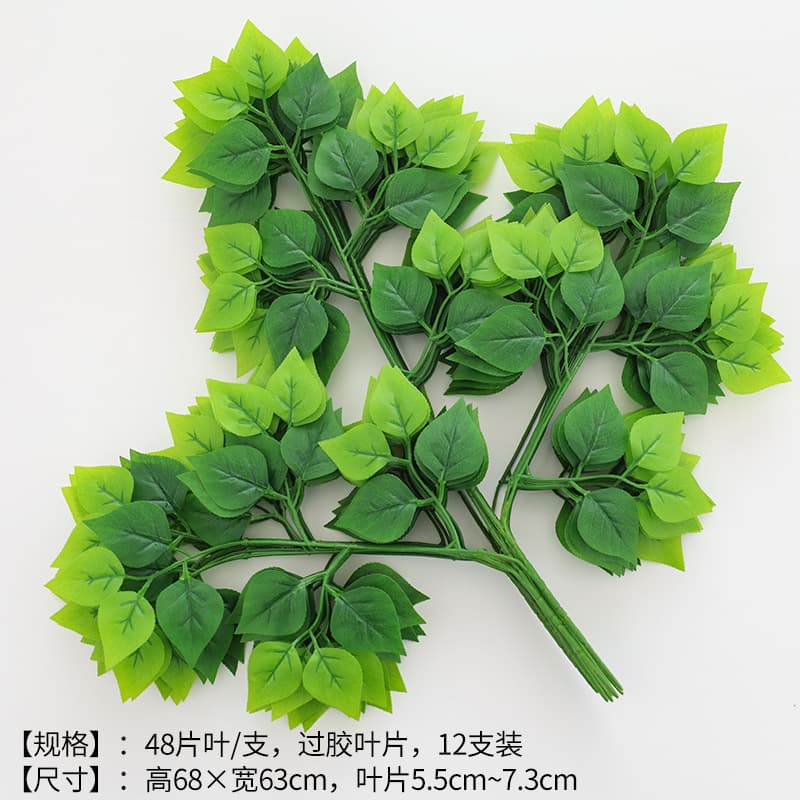 Gum Birch Leaf Green