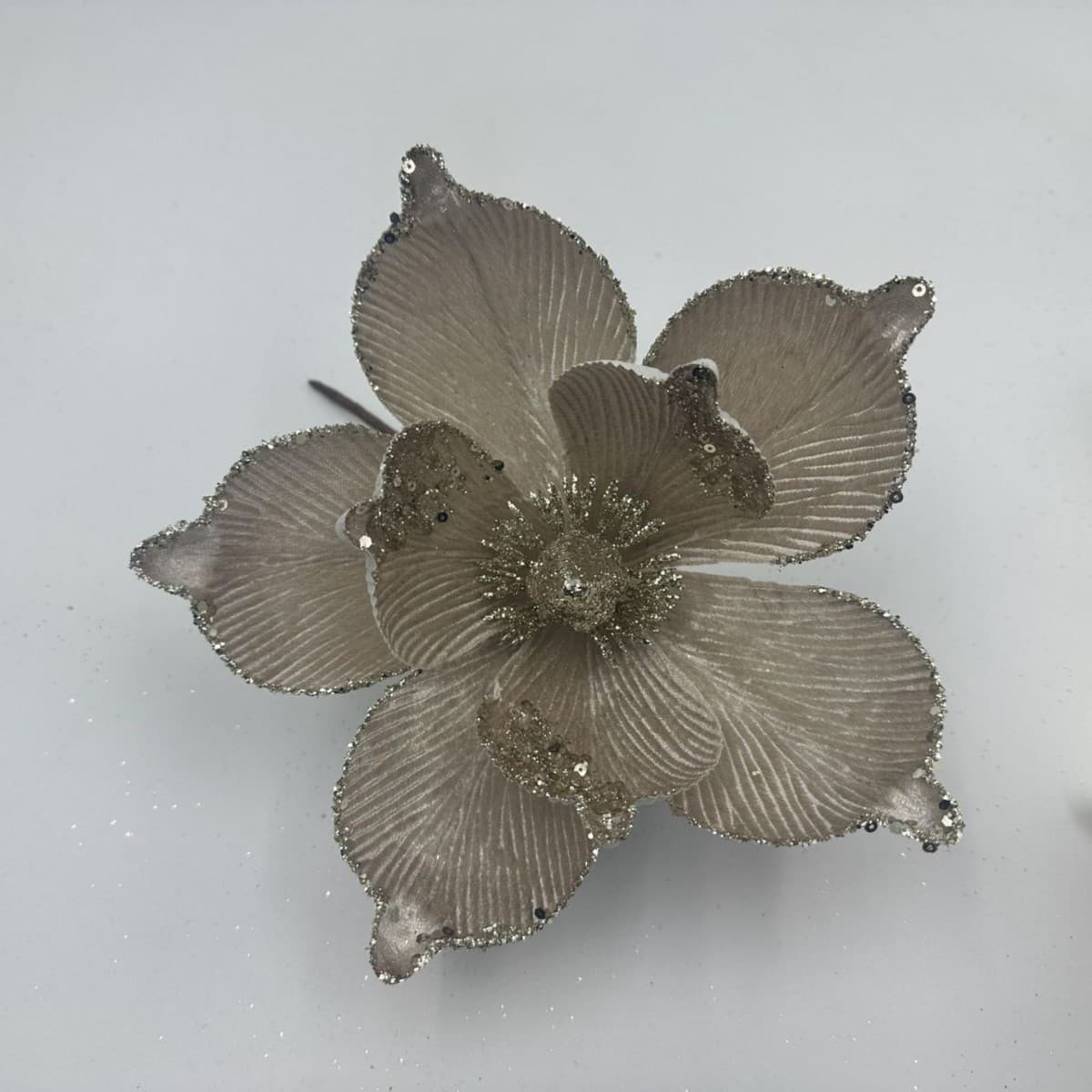 Champagne color