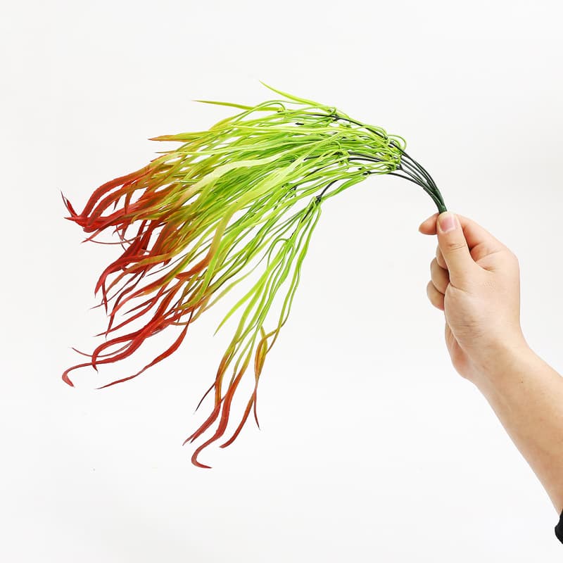 Kelp Willow red tail