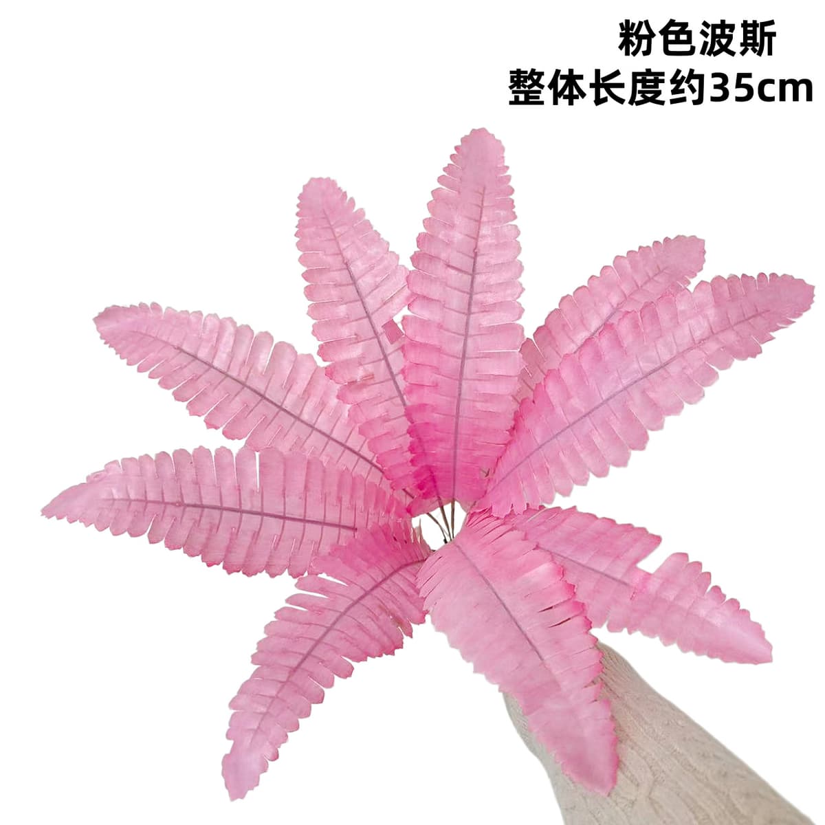 9-leaf persian pink (small leaf)