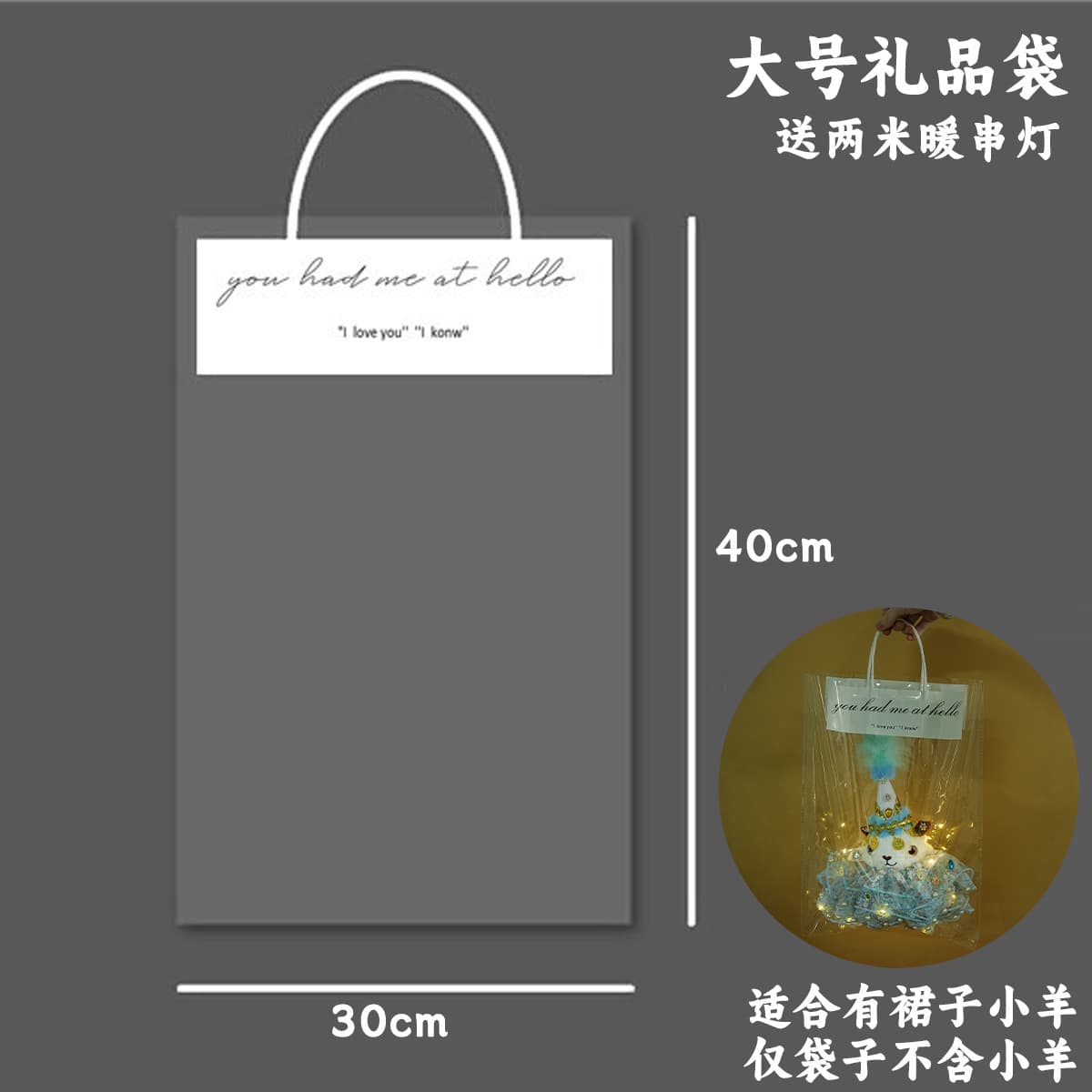 Large gift bag (with string lights)