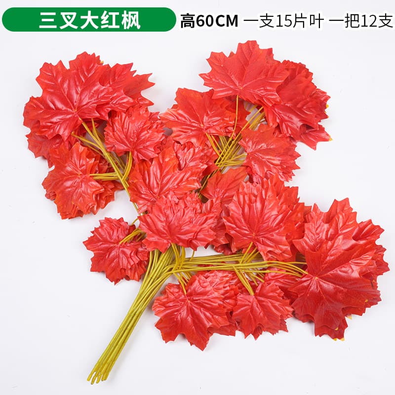 Single Trigeminal Red Maple