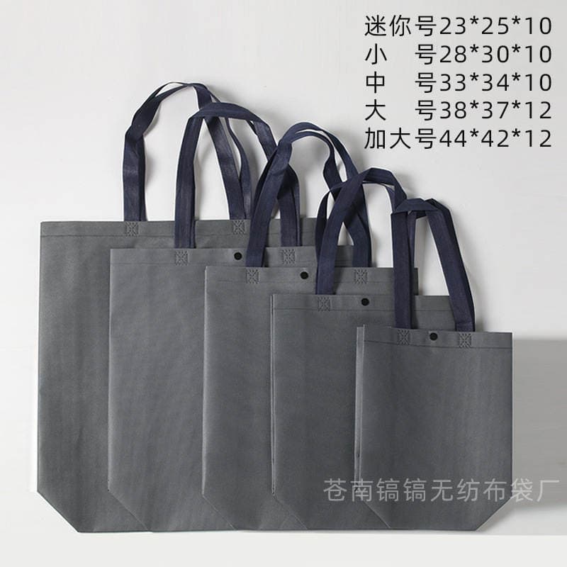 Internet Celebre Clothing Store Women's Clothing Hidden Buckle Non-woven Handbag Environmentally Friendly Shopping Clothes Handbag Printed LOGO 3
