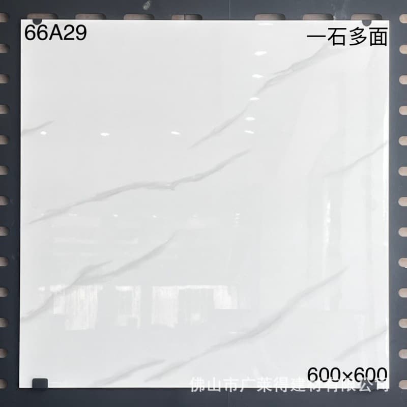 66A29