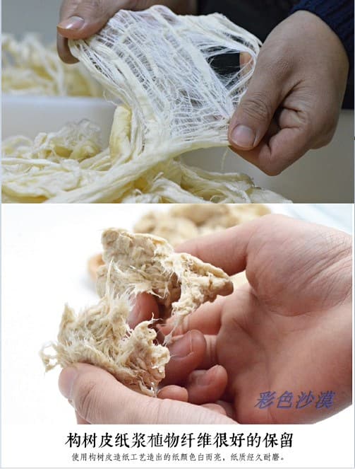 Broussonetia papyrifera bark pulp 50g