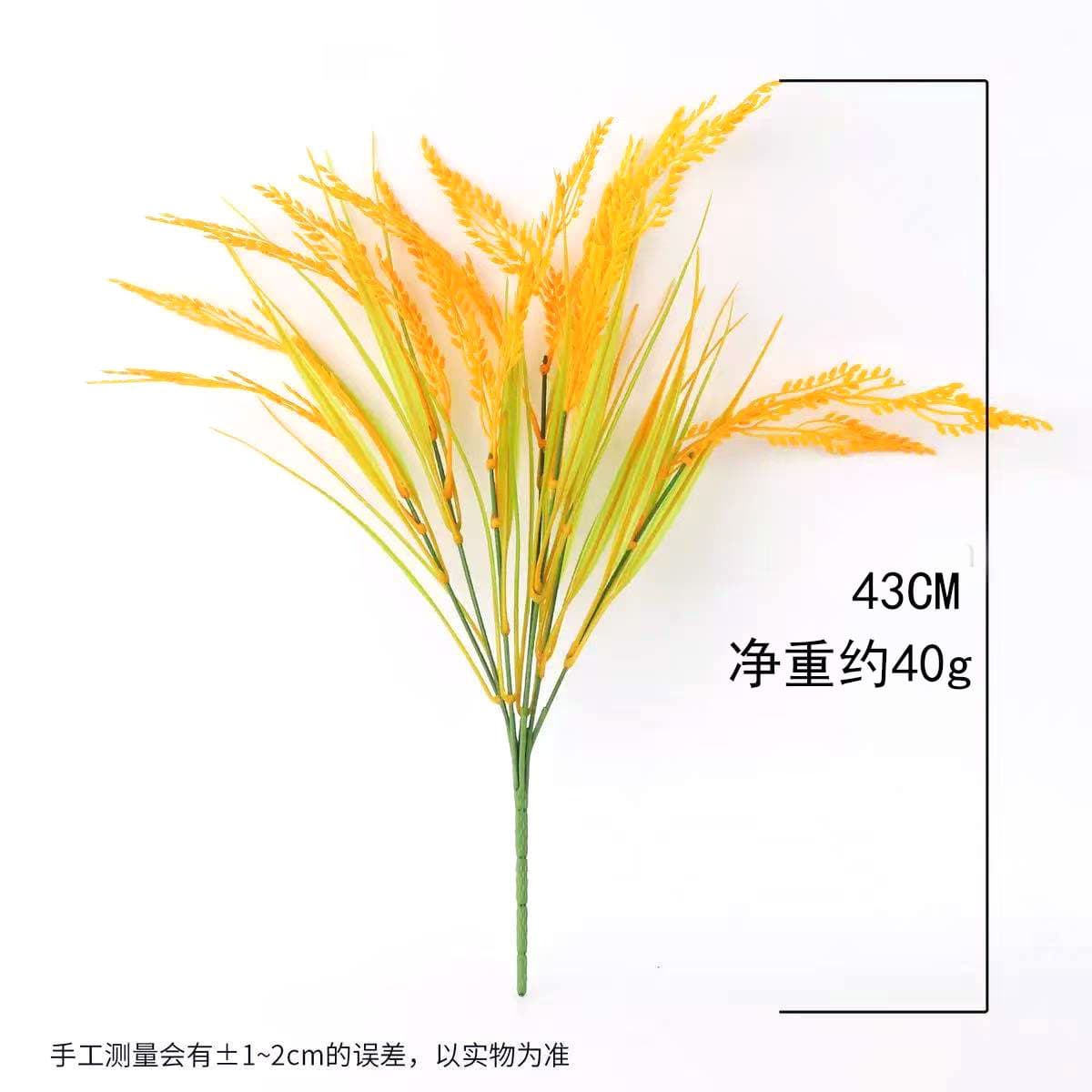 7 forks (big spring grass) rice