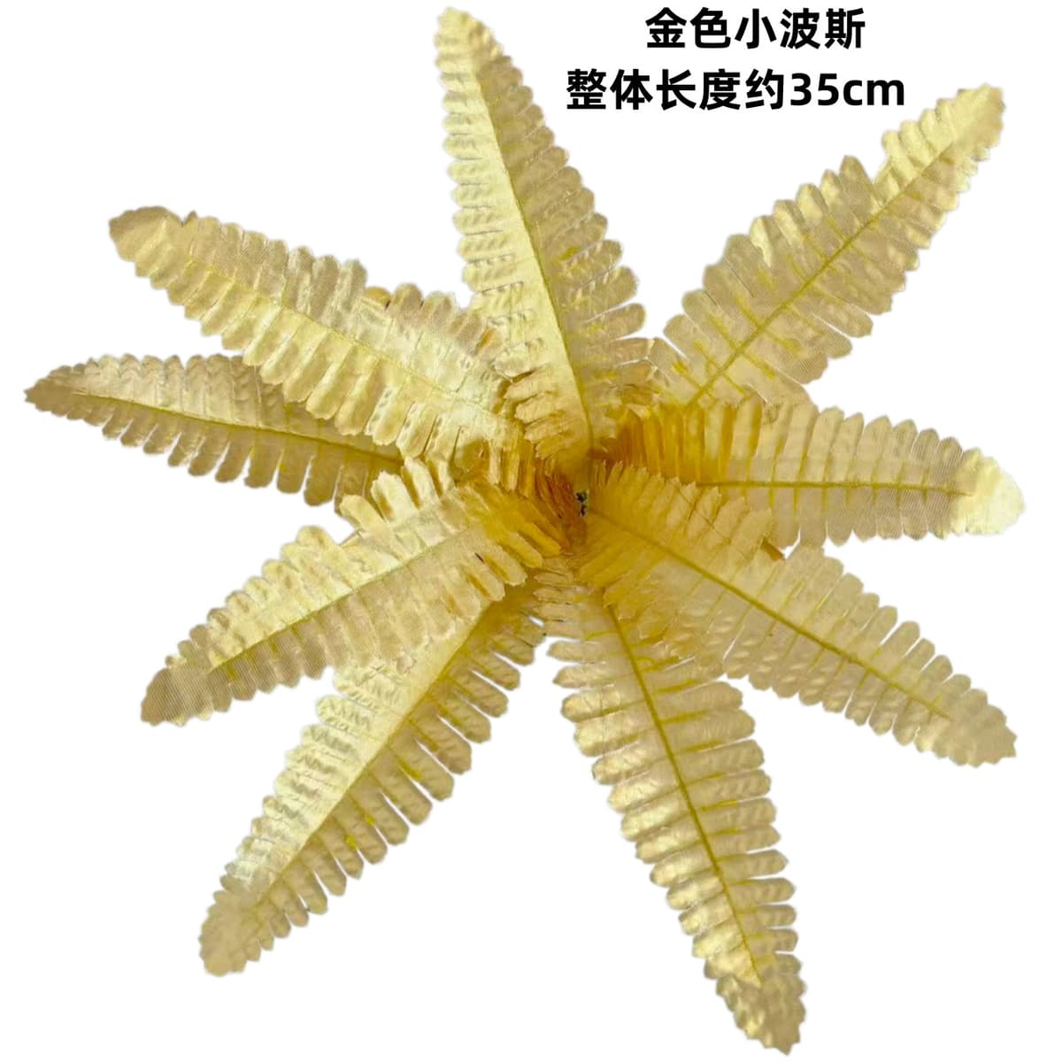 9-leaf golden persian (small leaf)