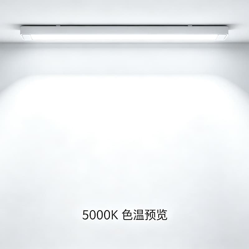 5000k (white)