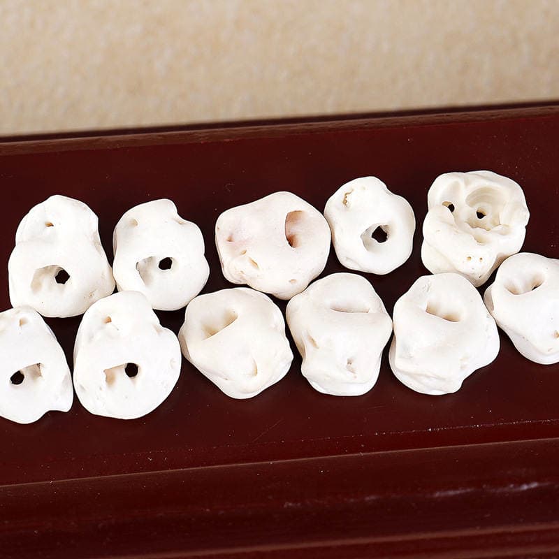 Donuz sümüyü və it dişi cazibələri, DIY aksesuarları üçün 4