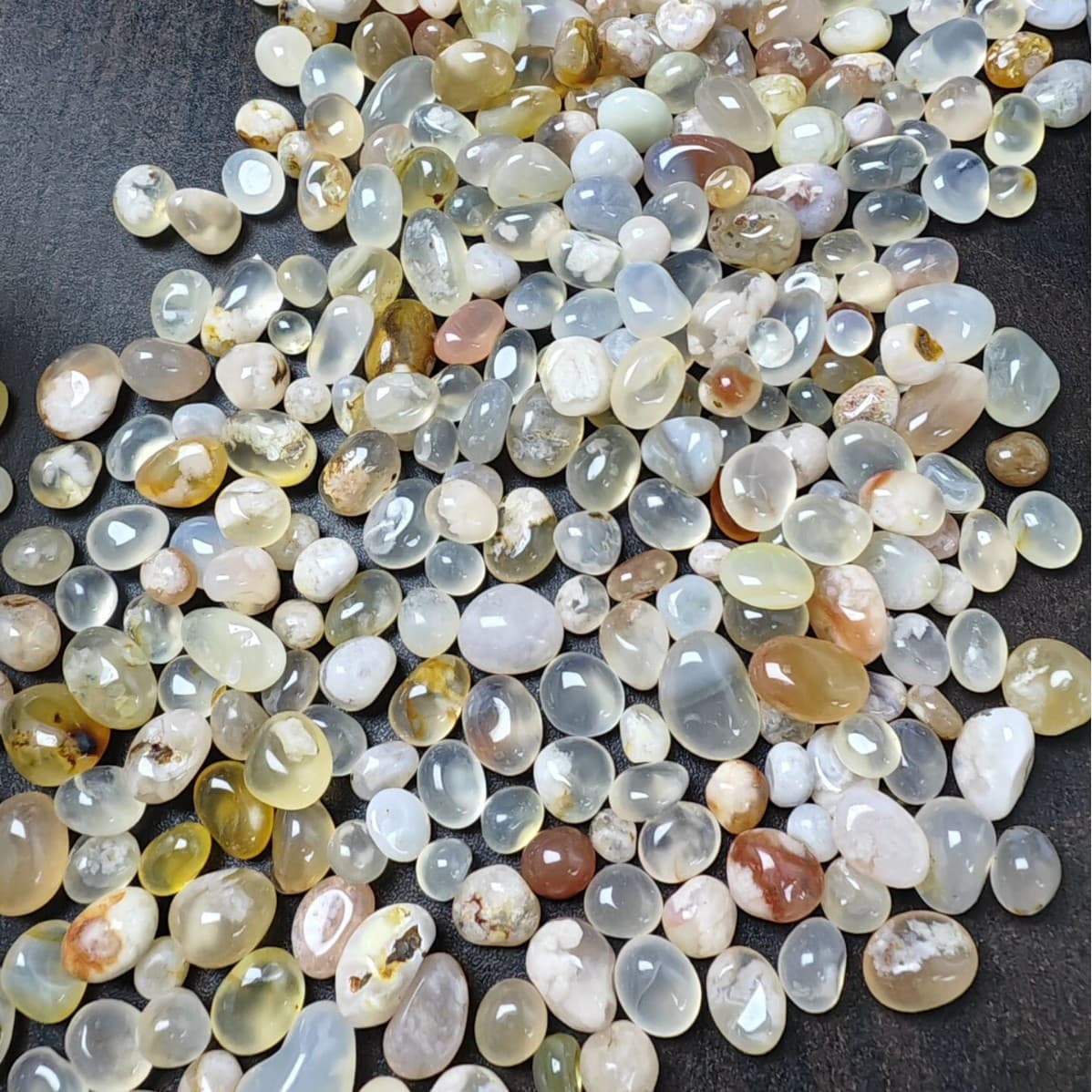Sakura【0.5-1cm】(100g)