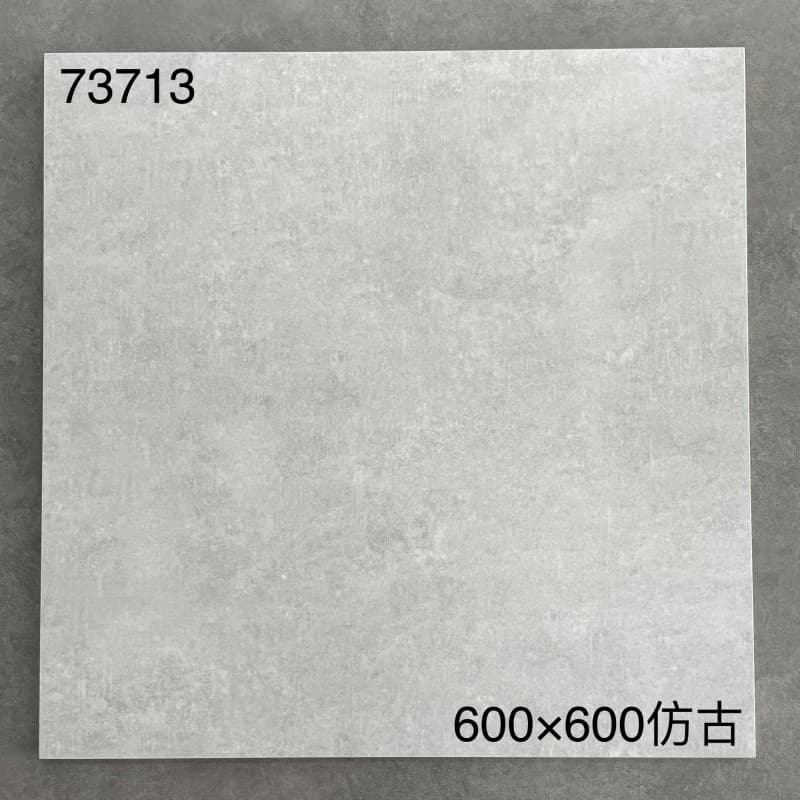 73713