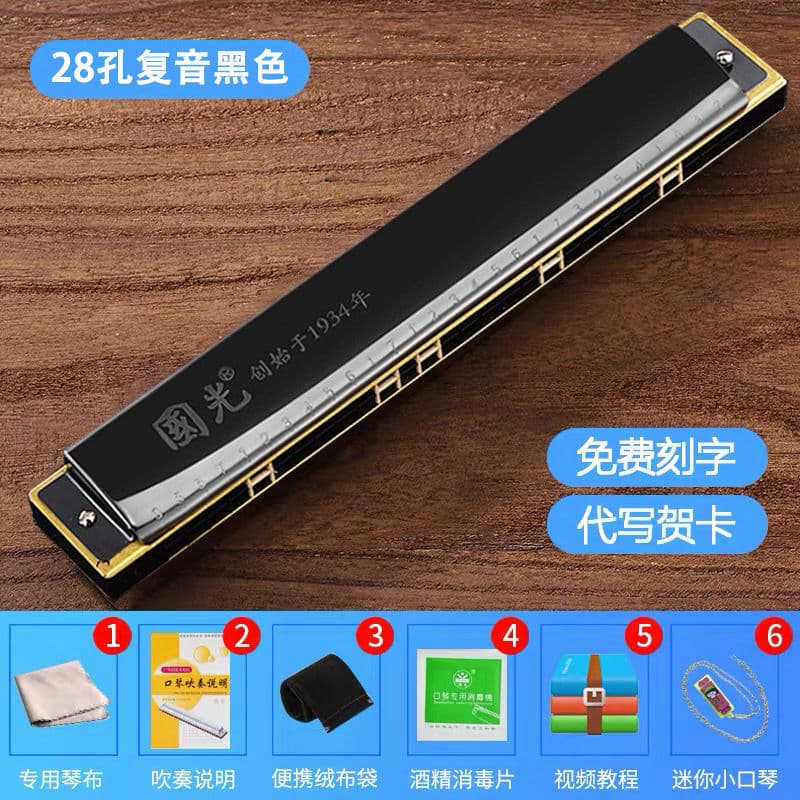 28-hole polyphonic wide-range elegant black comes with a full set of gifts