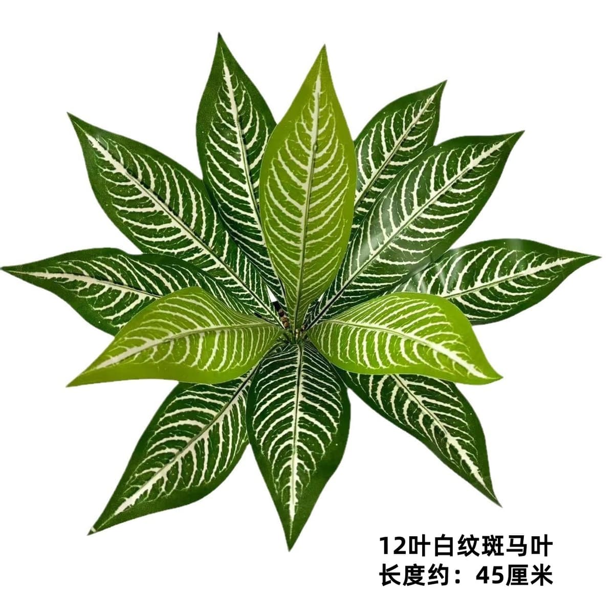 12 leaves white pattern zebra