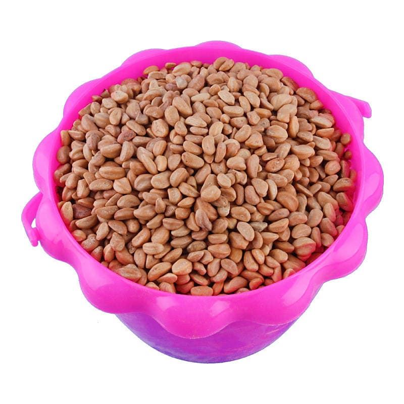 100 Jin Hawthorn Seed Toy Sand Granules Replace Cassia Seed Washable Children's Sand Dig Sand Playground Sand 5