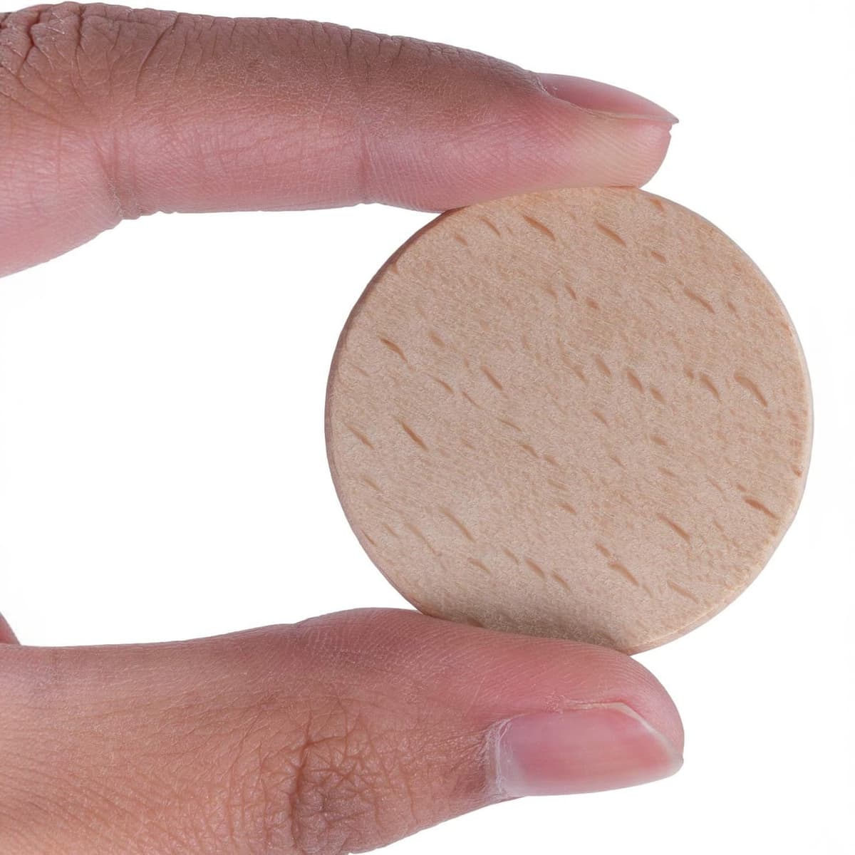 Beech disc