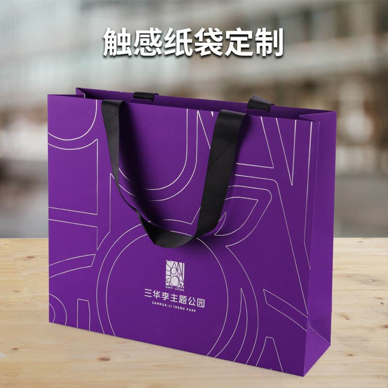 Foreign Trade Satchel Paper Bag Matte Touch Film Coat Handbag Printed Logo Ribbon Rope Clothing Shopping Paper Bag 1