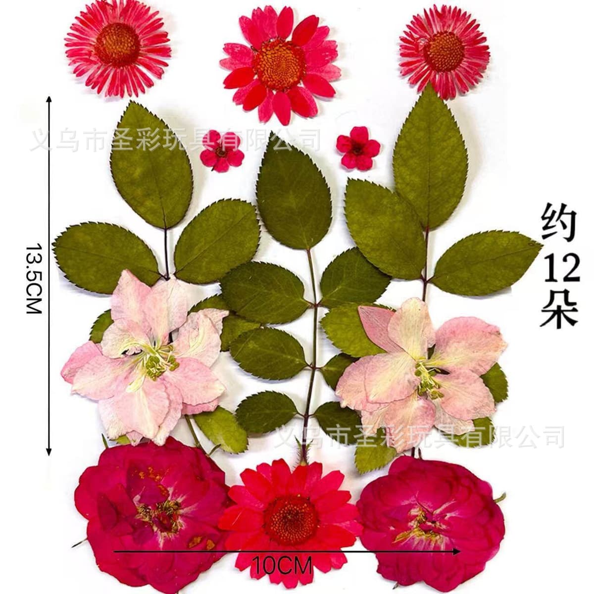 Dried flower material package (red)