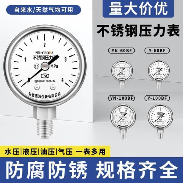 Stainless Steel Pressure Gauge Y-60Bf, High Temperature Resistant Steam Gauge Y-100Bf, Rust-Proof and Explosion-Proof Vacuum Negative Pressure Instrument Factory