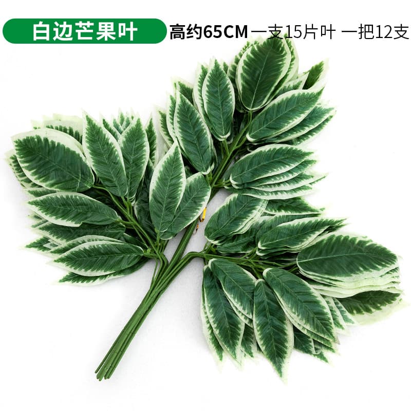 Single white-edged mango leaf