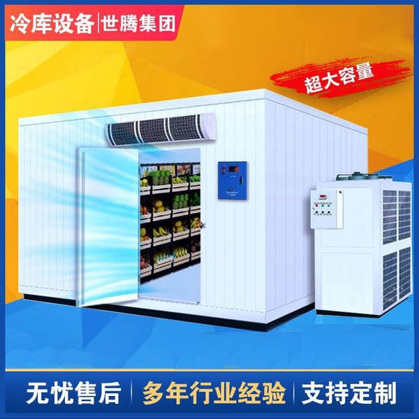 Full set of cold storage refrigeration equipment low temperature quick-frozen seafood fruit and vegetable preservation freezer movable freezer small cold storage