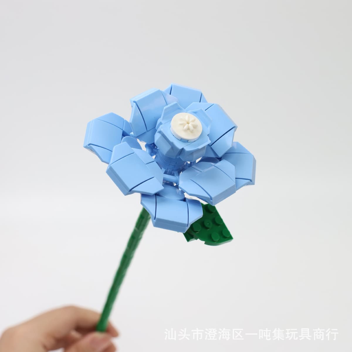 Blue rose [white flower]