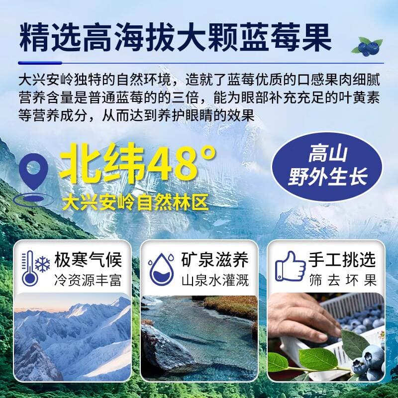 Official Flagship Store of Shanmu Tong Pure Blueberry Dried Fruit, No Added Sugar, Daxinganling Pure Large Fruit, No Additives, Wild 4