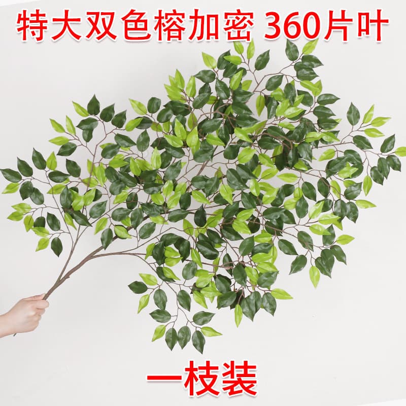 Extra large two-color banyan tree encrypted 1 branch