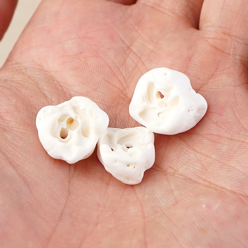 Pig essence bone