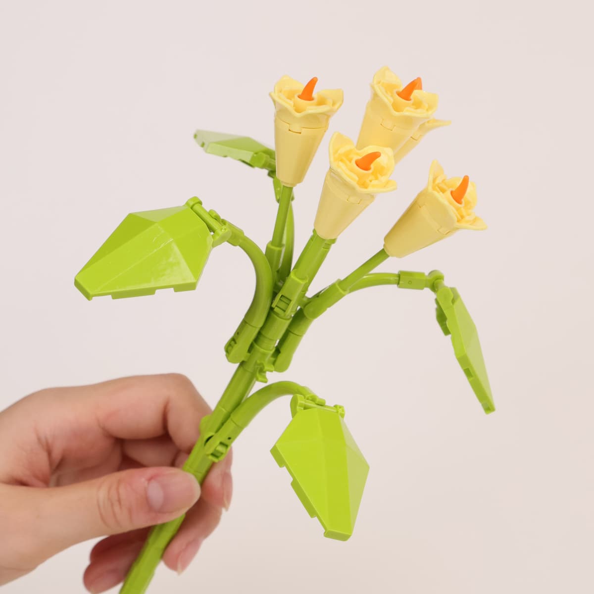 Calla lily