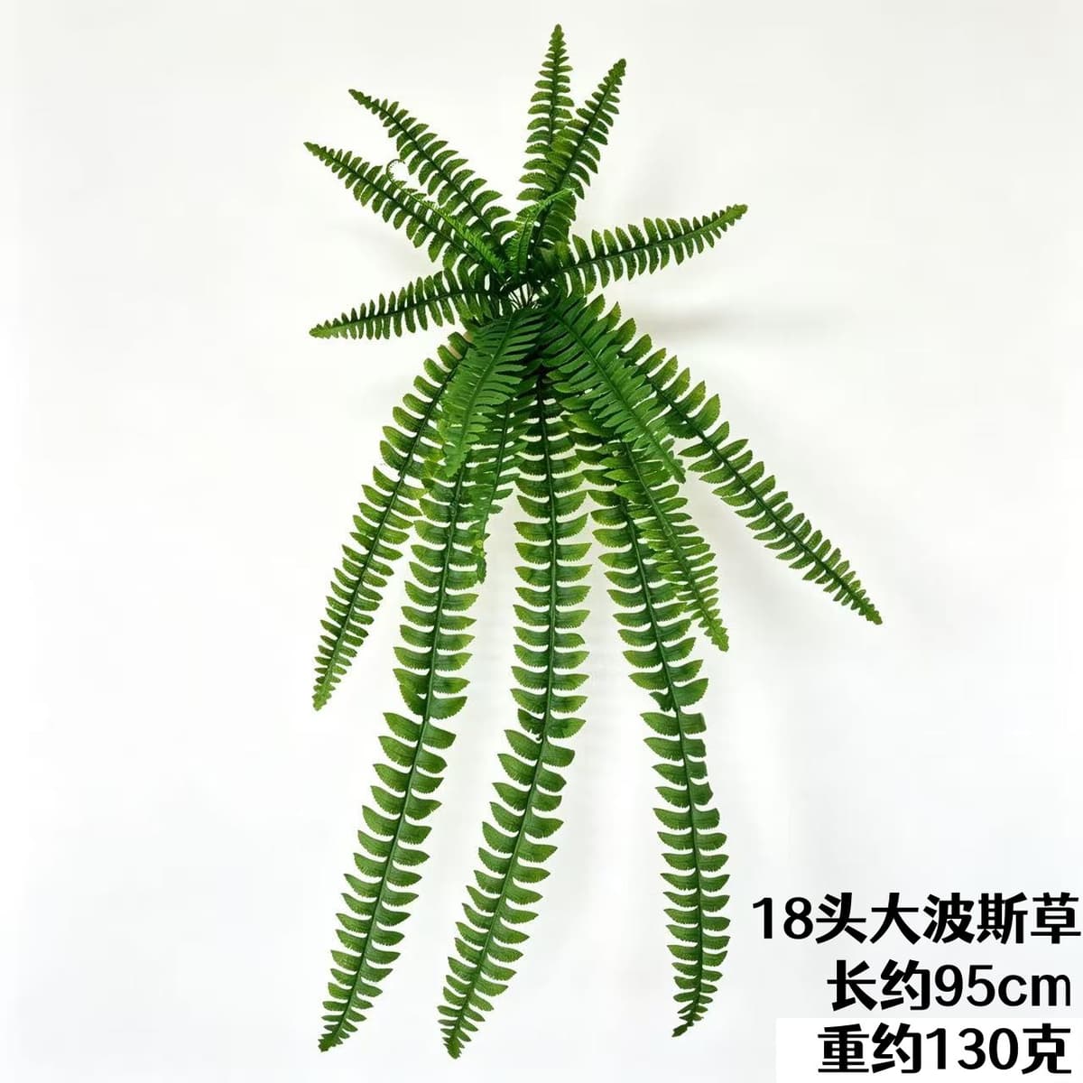 18 persian grass (95cm )