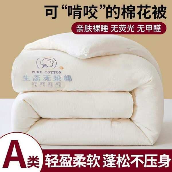 Class a Maternal and Infant Cotton Quilt Core, Autumn and Winter Cotton Quilt, Thickened and Warm, Dormitory Single-Person Spring and Autumn Bedding